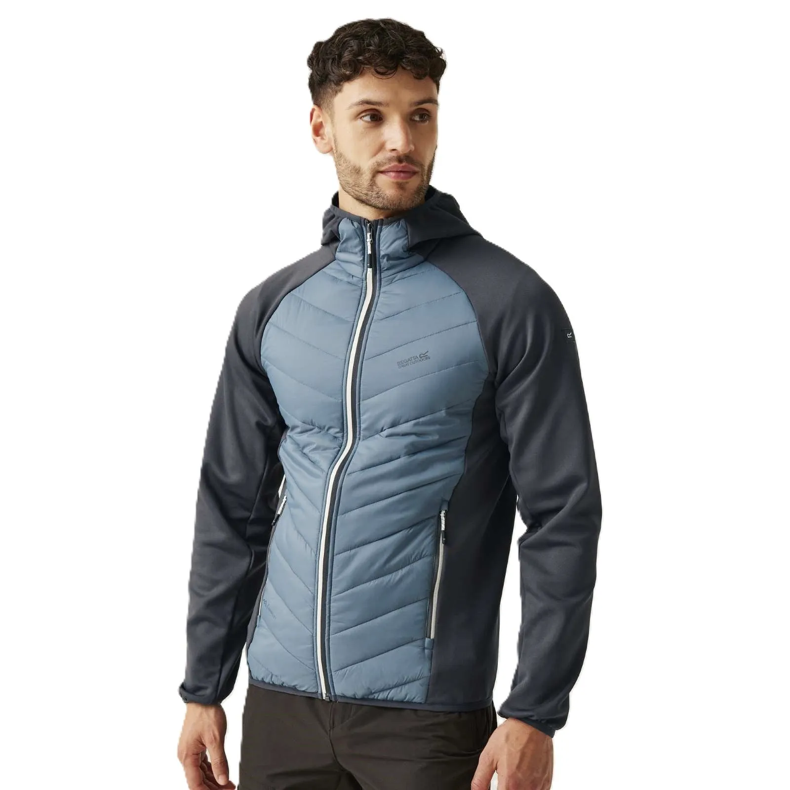 Regatta Mens Andreson VIII Hybrid Lightweight Softshell Jacket